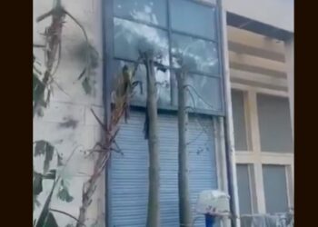 Dron zadel rezidenco izraelskega premierja Netanjahuja: Hezbolah prevzel odgovornost (VIDEO)