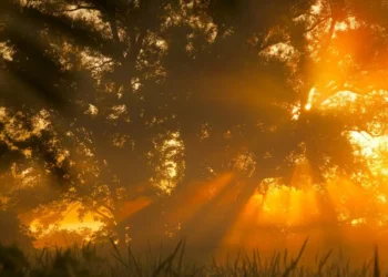 Vreme: Sončna sobota z nekaj jutranje megle in oblačnosti na zahodu