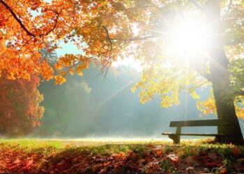 Vreme: Jesensko sonce čez dan, zvečer oblačnost in veter na obzorju