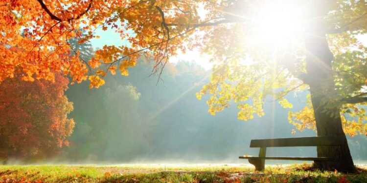 Vreme: Jesensko sonce čez dan, zvečer oblačnost in veter na obzorju