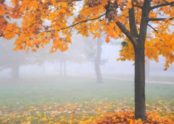 Megla ali sonce? Današnje vreme prinaša kontraste po Sloveniji