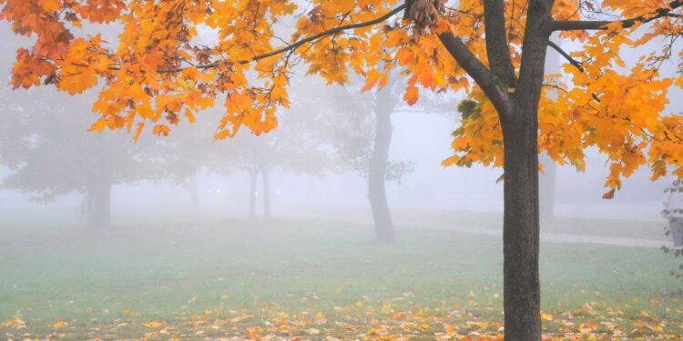 Megla ali sonce? Današnje vreme prinaša kontraste po Sloveniji