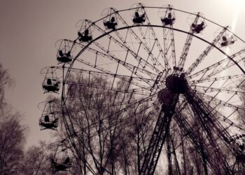 Novice iz Černobila: DNK psov pokazal hitre evolucijske spremembe zaradi sevanja