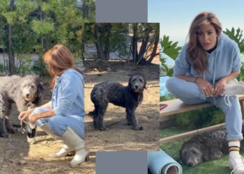 Eva Mendes in Ryan Gosling posvojila psička iz zavetišča: Družina se je povečala (VIDEO9