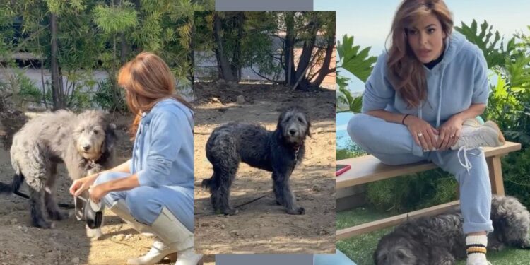 Eva Mendes in Ryan Gosling posvojila psička iz zavetišča: Družina se je povečala (VIDEO9