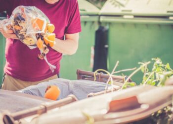 Od jutri vpogled v smeti: Kaj zares konča v smeteh?