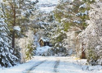 Prve snežinke na poti v Slovenijo – Kaj napoveduje polarni zrak?