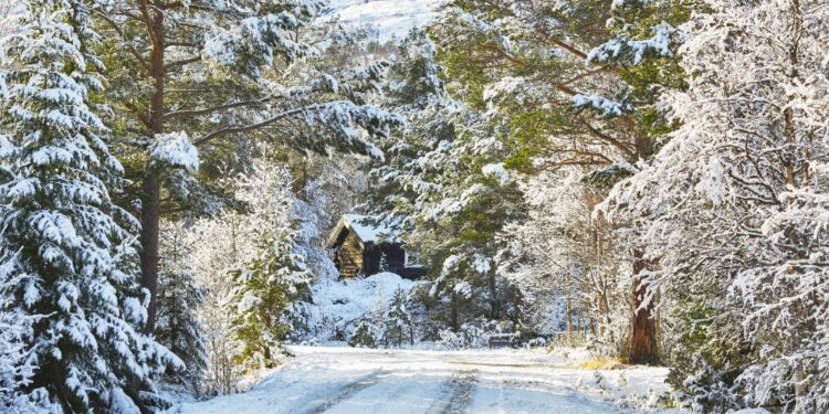 Prve snežinke na poti v Slovenijo – Kaj napoveduje polarni zrak?