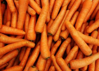 Izbruh E. coli v ZDA: Okužbe povezane z ekološkim korenjem