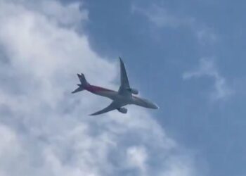 Nesrečni trk s ptico:V Rimu letalo uspešno pristalo po eksploziji v motorju (VIDEO)