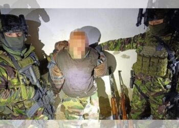 Dvojni umor v Črni gori: Osumljeni ujet v Srbiji z dvema puškama