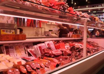 Evropska kmetijska industrija: Manj mesa za bolj trajnostno prihodnost