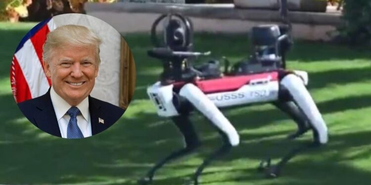 Mar-a-Lago pod dodatnim nadzorom: Trumpu zdaj pomaga robotski pes (VIDEO)