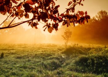 Vreme: Zimski mraz zjutraj, prijetno jesensko sonce popoldne