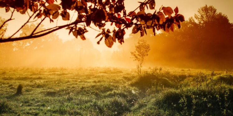Vreme: Zimski mraz zjutraj, prijetno jesensko sonce popoldne