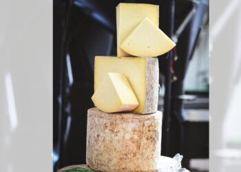 Kraja stoletja v Veliki Britaniji: Ukradli več kot 350.000 evrov vrednega sira (VIDEO)