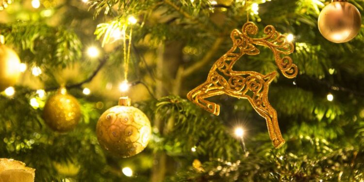 Rekordno praznično vzdušje: Zakonca z več kot 600 božičnimi drevesci