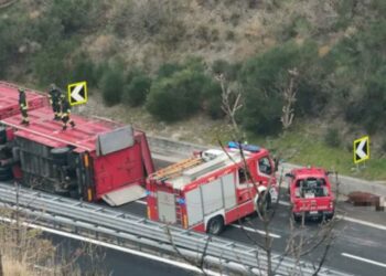 Nesreča pri Trstu: več kot 30 bikov pobegnilo po avtocesti