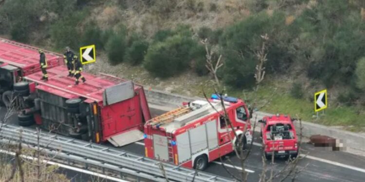 Nesreča pri Trstu: več kot 30 bikov pobegnilo po avtocesti