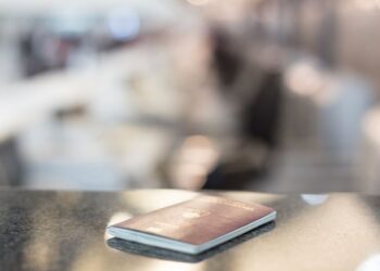 Luki Arapoviću, obtoženemu v zadevi Kavaški klan, odvzeli slovensko državljanstvo