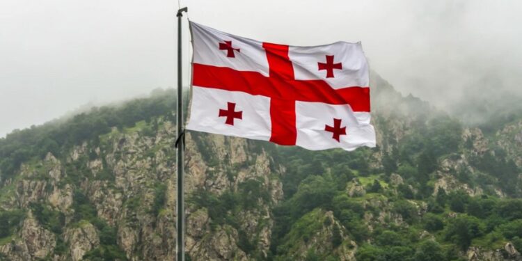 Gruzija se umika iz Parlamentarne skupščine Sveta Evrope