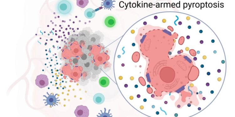 Preboj v onkologiji: Terapevtski pristop Kemijskega inštituta uspešen pri melanomu