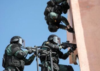 V Španiji prijeli 25 tihotapcev: Kokain, gotovina in luksuzni avtomobili zaseženi (VIDEO)