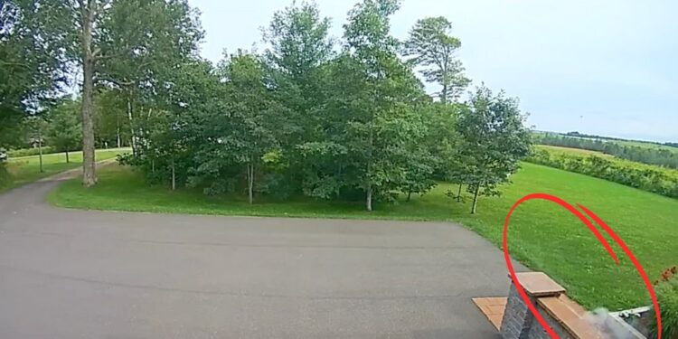 Meteorit razneslo na dvorišču: Posnetek razkriva redek pojav (VIDEO)