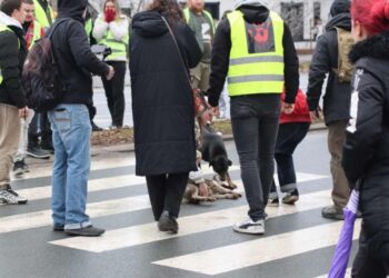 Reševalno vozilo do smrti povozilo psa na protestu v Novem Sadu (FOTO)