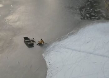 Pogumno reševanje moškega in psa iz ledenega jezera v Massachusettsu (FOTO)