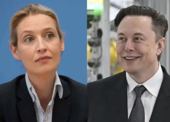 Elon Musk z intervjujem z vodjo nemške skrajne desnice dvignil prah pred volitvami