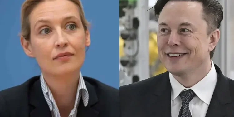 Elon Musk z intervjujem z vodjo nemške skrajne desnice dvignil prah pred volitvami