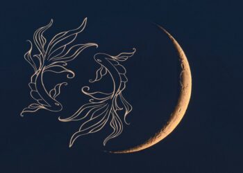 Mlaj v Ribah: Čas za intuicijo, zaključke in nove začetke