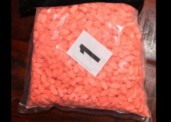 V Sevnici zasegli več kot 1500 tablet MDMA: Policija prijela 47-letnika (FOTO)