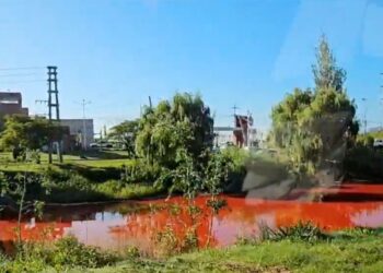 Rdeč kanal v Buenos Airesu: Onesnaženje ali kemični izpust? (FOTO)