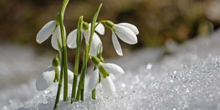 Hladna jutra, topli popoldnevi: Temperature bodo dosegle do 20 stopinj