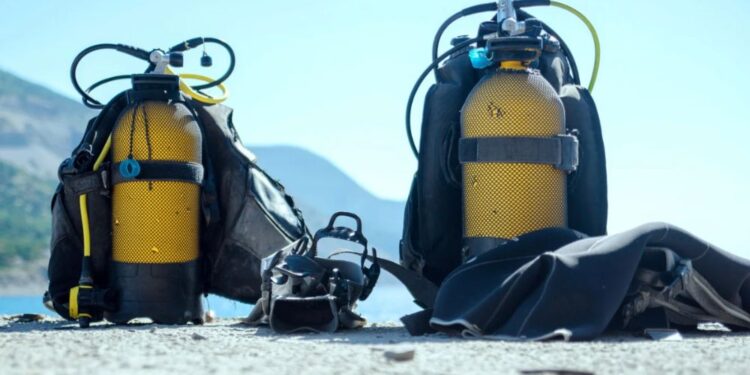 Potapljač pri Belvederju nabiral strogo zaščitene morske datlje